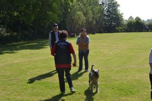 bh ad bergkamen 2014