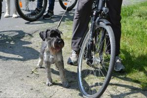 bh ad bergkamen 2014a