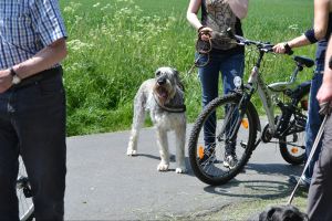 bh ad bergkamen 2014a