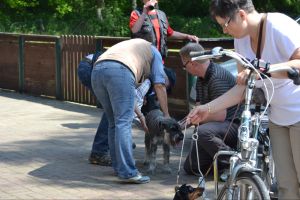 bh ad bergkamen 2014a