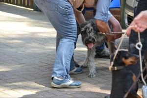 bh ad bergkamen 2014a