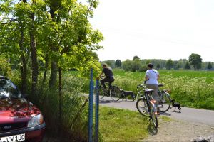 bh ad bergkamen 2014a