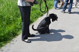 bh ad bergkamen 2014a