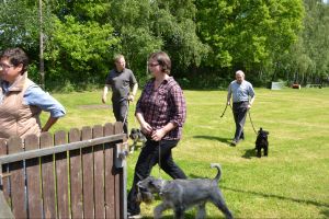 bh ad bergkamen 2014a