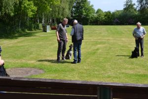 bh ad bergkamen 2014a