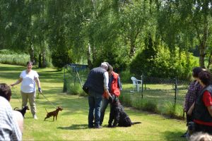 bh ad bergkamen 2014a