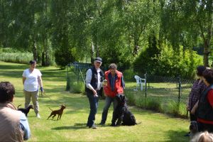 bh ad bergkamen 2014a