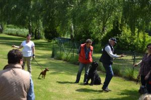 bh ad bergkamen 201462a