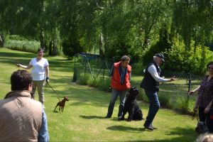 bh ad bergkamen 2014a