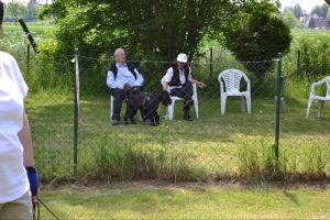 bh ad bergkamen 2014a