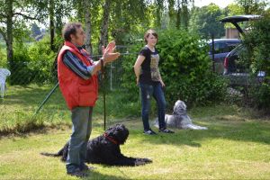 bh ad bergkamen 2014a