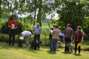 bh ad bergkamen 2014a