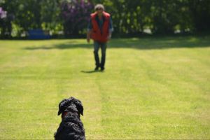 bh ad bergkamen 2014a