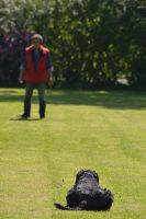 bh ad bergkamen 2014a85