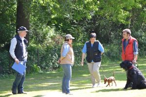 bh ad bergkamen 2014 62a