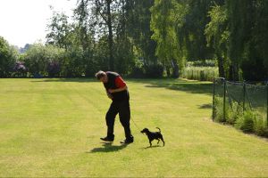 bh ad bergkamen 2014a