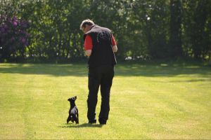 bh ad bergkamen 2014a