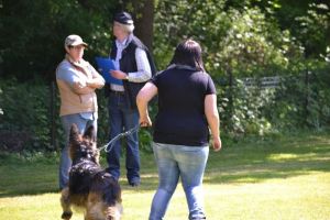 bh ad bergkamen 2014 84a