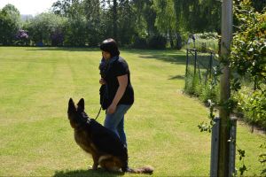 bh ad bergkamen 2014a