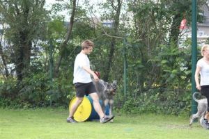 dm psk thscastroprauxel