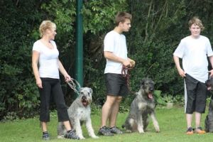 dm psk thscastroprauxel