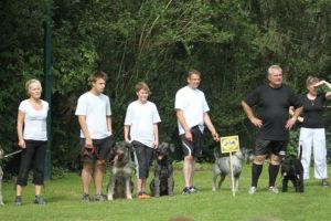 dm psk thscastroprauxel