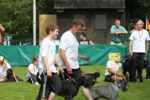 dm psk thscastroprauxel