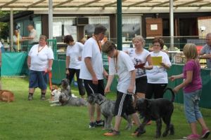 dm psk thscastroprauxel