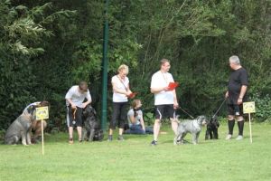 dm psk thscastroprauxel