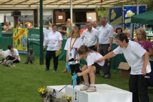 dm psk thscastroprauxel