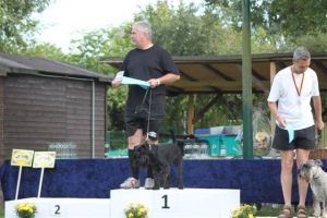 dm psk thscastroprauxel