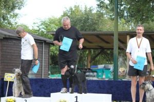 dm psk thscastroprauxel