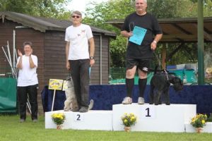 dm psk thscastroprauxel