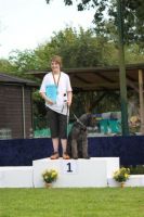 dm psk thscastroprauxel