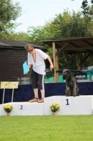 dm psk thscastroprauxel