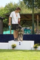 dm psk thscastroprauxel