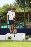 dm psk thscastroprauxel