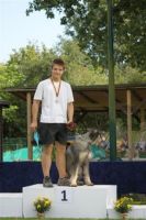 dm psk thscastroprauxel