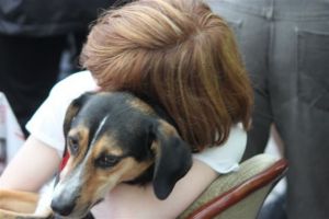 dm psk thscastroprauxel