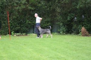 dm psk thscastroprauxel