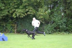 dm psk thscastroprauxel