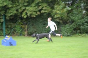 dm psk thscastroprauxel