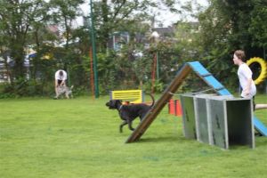 dm psk thscastroprauxel