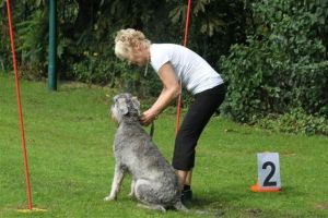 dm psk thscastroprauxel