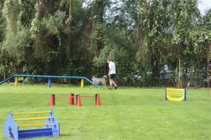 dm psk thscastroprauxel