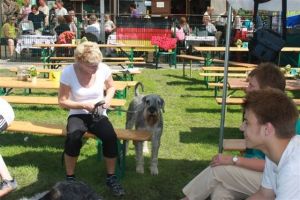 dm psk thscastroprauxel