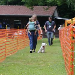 hunderennen 01 06 25