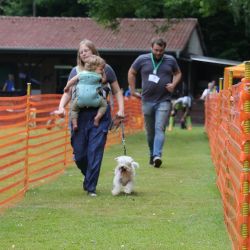 hunderennen 01 06 25