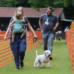 hunderennen 01 06 25