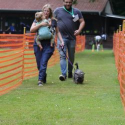 hunderennen 01 06 25